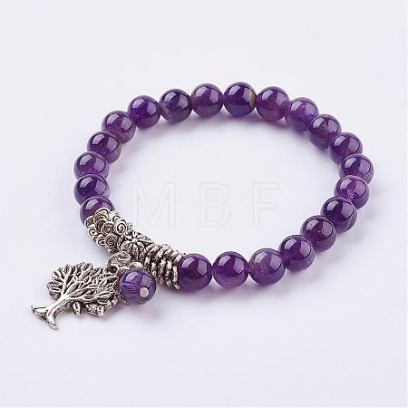 Natural Amethyst Stretch Bracelets BJEW-F262-A03-1