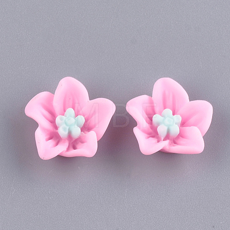Resin Cabochons CRES-T010-29E-1