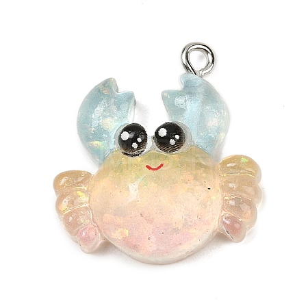 Ocean Theme Transparent Resin Pendants RESI-I351-03P-01-1