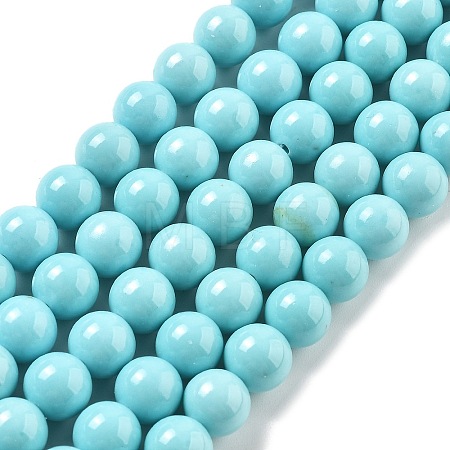Synthetic Turquoise Beads Strands G-A255-A04-01B-1