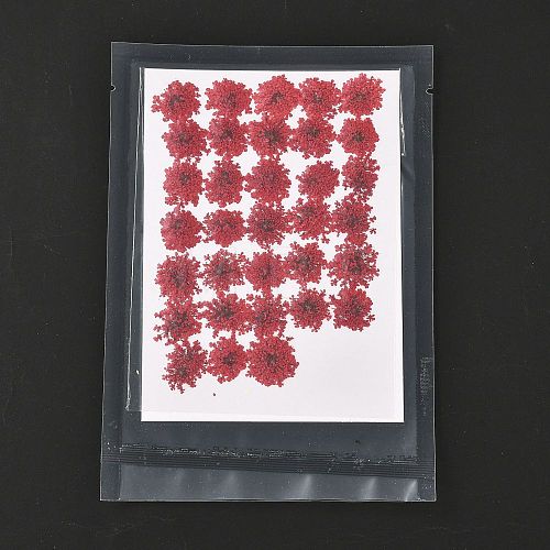 Pressed Dried Flowers DIY-K032-58C-1