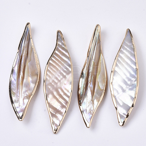 Natural Freshwater Shell Big Pendants SHEL-R047-04-1