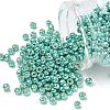 TOHO 6/0 Round Beads SEED-XTR06-PF0561-1