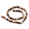 Natural Zebra Jasper Beads Strands G-C079-B01-02-3