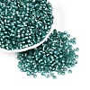 Silver Lined Glass Seed Beads SEED-T007-18A-07-1