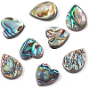 8Pcs 2 Style Abalone Shell/Paua Shell Beads SHEL-BC0001-013-2