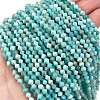 Natural Amazonite Beads Strands G-H003-D09-01-1