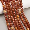 Handmade Lampwork Beads Strand LAMP-B056-8mm-18-1