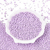 12/0 Baking Paint Glass Round Seed Beads SEED-S036-01A-08-2