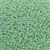TOHO Round Seed Beads SEED-XTR11-0144-2