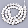 Natural Freshwater Shell Beads Strands X-SHEL-N026-50A-01-2