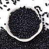 Baking Paint Glass Seed Beads SEED-L011-12A-06-2