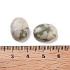 Natural Peace Jade Cabochons G-G145-01B-55-3