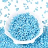FGB Imitation Jade Colours Glass Seed Beads SEED-Q040-07A-C05-2