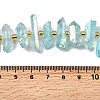 Electroplated Natural Quartz Crystal Beads Strands G-F800-F15-4