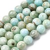 Natural Hemimorphite Beads Strands G-D352-A01-10mm-2