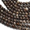 Natural Astroite Jasper Beads Strands G-H329-C02-6mm-4