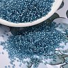 MIYUKI Delica Beads SEED-X0054-DB2383-1