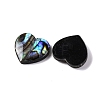 Natural Paua Shell Epoxy Resin Cabochons SSHEL-S279-01D-2