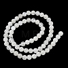 Natural Rainbow Moonstone Beads Strands G-I249-B04-04-7