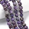 Natural Charoite Beads Strands G-C270-O02-10-1
