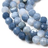 Natural Blue Opal Beads Strands G-P603-C-4mm-04-4