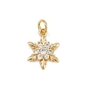 Brass Micro Pave Cubic Zirconia Charms LS-KK-H077-02G-05-1