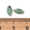 Natural African Turquoise(Jasper) Cabochons G-F772-01B-14-3