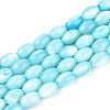 Natural Trochus Shell Beads Strands SHEL-K006-19-01B-1