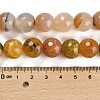 Natural Agate Beads Strands G-L595-A03-02A-5