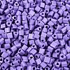 FGB Baking Paint Glass Seed Beads SEED-Q040-09A-16-3