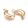 304 Stainless Steel Pendants LS-X-STAS-I138-05G-2