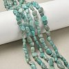 Natural Amazonite Beads Strands G-F521-25-4