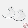925 Sterling Silver Charms STER-I014-19S-4