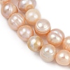 Natural Cultured Freshwater Pearl Beads Strands PEAR-I007-07Z-01B-4