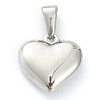 304 Stainless Steel Pendants STAS-P278-01B-P-2
