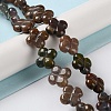 Natural Indian Agate Beads Strands G-N418-D03-01-2