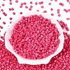 FGB Baking Paint Glass Seed Beads SEED-Q040-09A-04-2