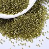 MIYUKI Delica Beads SEED-X0054-DB2164-1