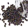TOHO 6/0 Round Beads X-SEED-TR06-0085-1
