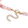 Synthetic Cherry Quartz Glass Chip Beaded Necklace NJEW-JN04616-01-5