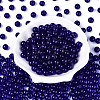 FGB Transparent Glass Seed Beads SEED-N013-01C-12-3