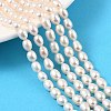 Natural Cultured Freshwater Pearl Beads Strands PEAR-I007-01A-03A-1