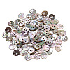 100Pcs Natural Paua Shell Buttons BUTT-GA0001-33-1