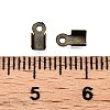 Iron Cord Ends IFIN-T021-01AB-3