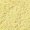 Baking Paint Glass Seed Beads SEED-P006-03A-15-3