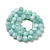 Natural Glass Beads Strands G-I247-31C-4