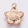 Zinc Alloy Enamel Pendants PALLOY-I124-10G-C-2