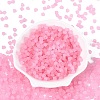 FGB Frosted Transparent Glass Seed Beads SEED-N013-03A-05-2