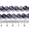 Natural Lepidolite Beads Strands G-NH0021-A07-01-5